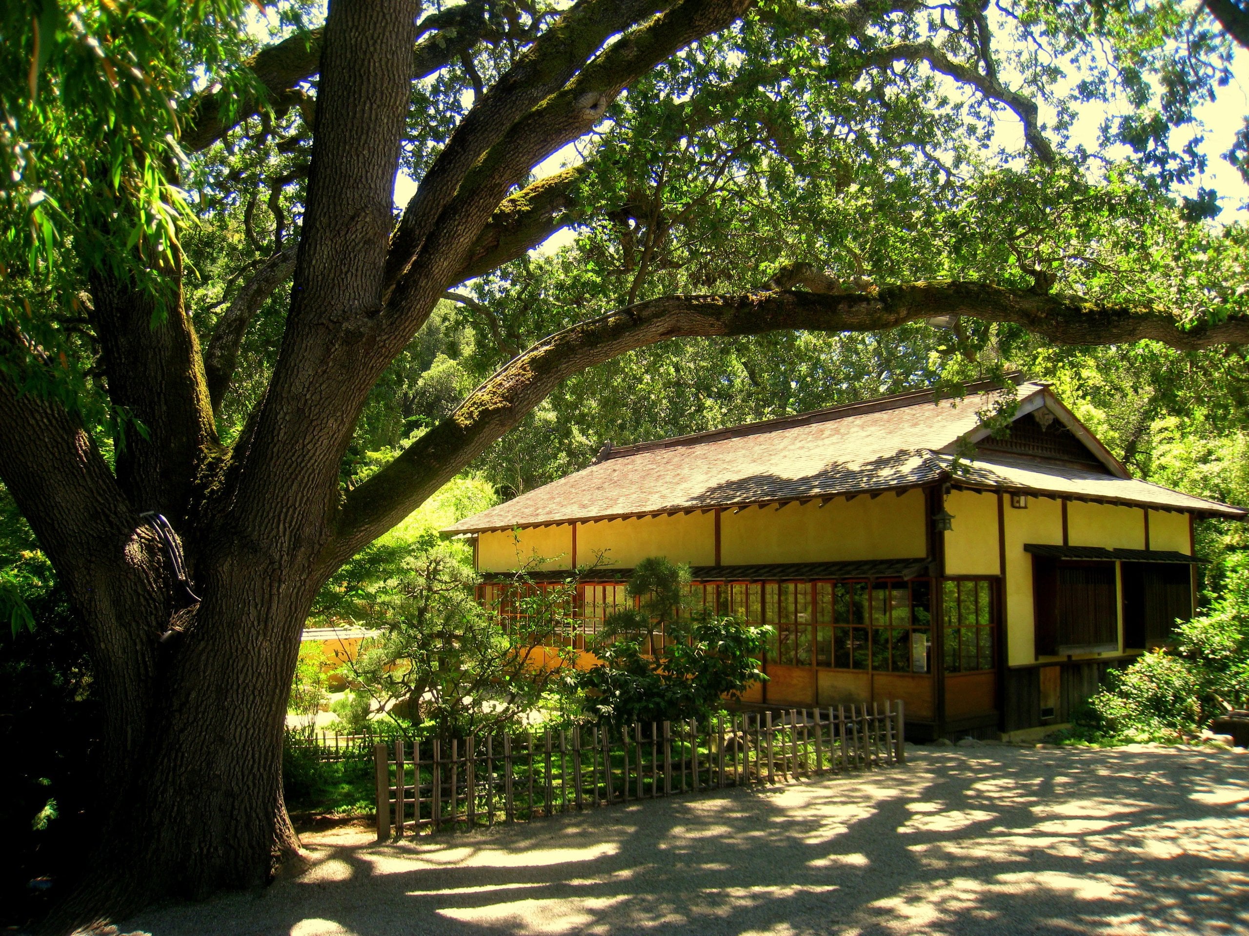 A Japanese-style house beneath a sweeping oak at Hakone Gardens in Saratoga